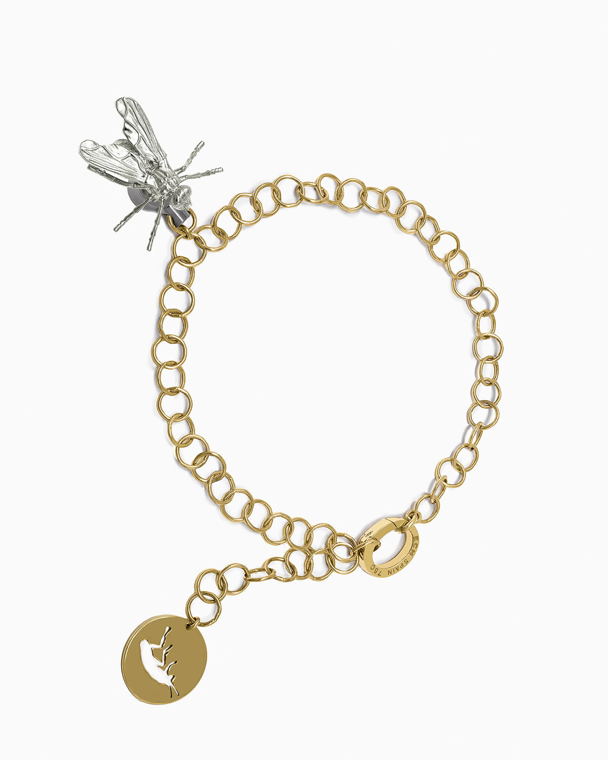 GOLD CHAIN BRACELET, INSECT COLLECTION
