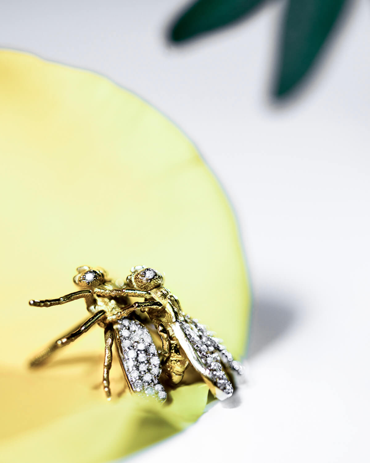 GOLD EARRING, INSECT COLLECTION