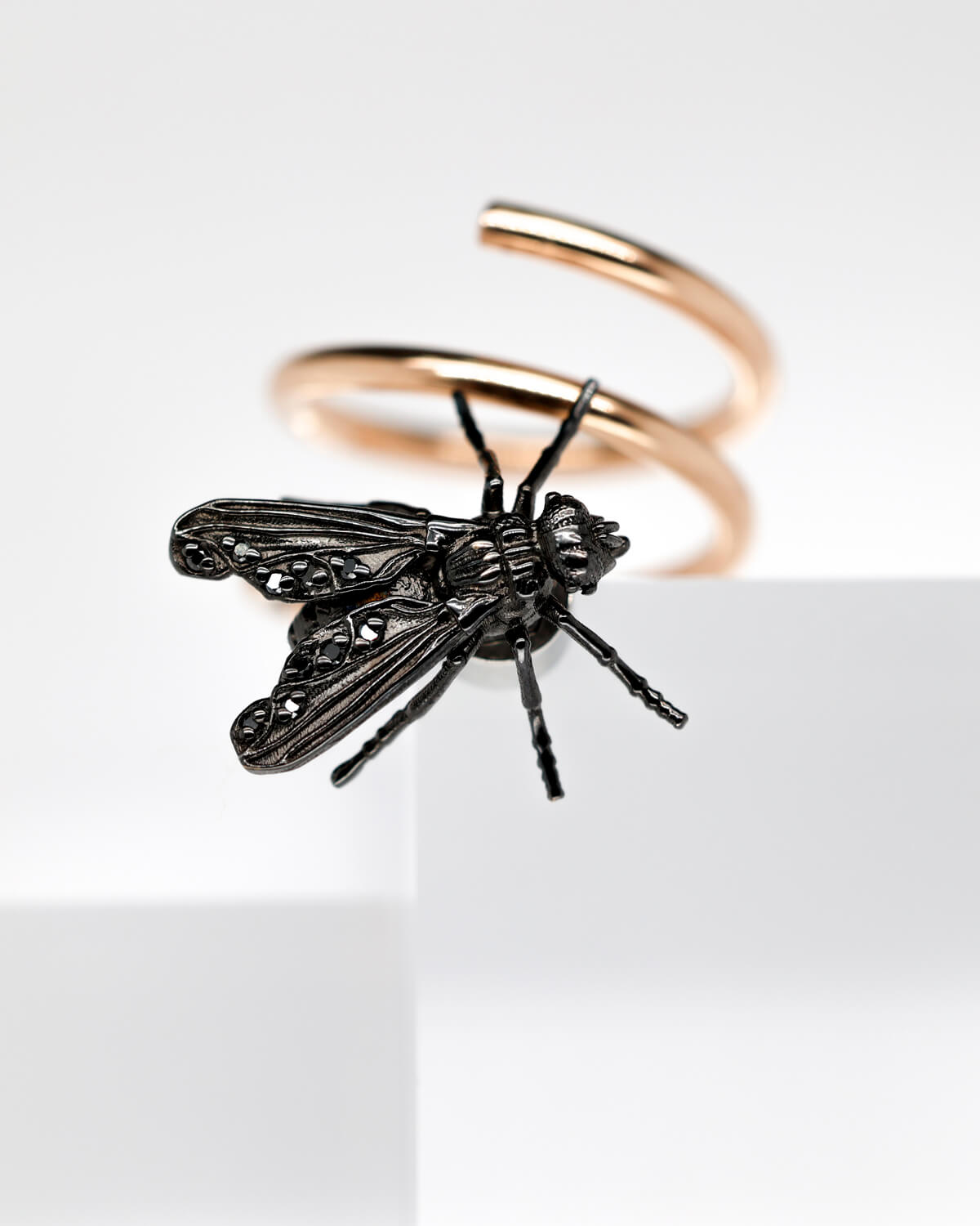 GOLD RING, INSECT COLLECTION