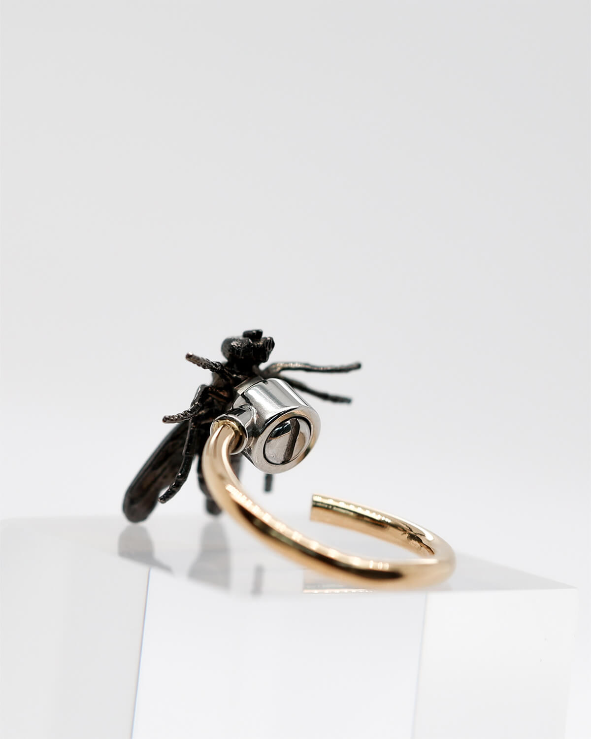 GOLD RING, INSECT COLLECTION