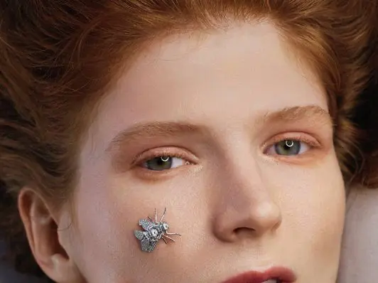 Fly on Fly collection