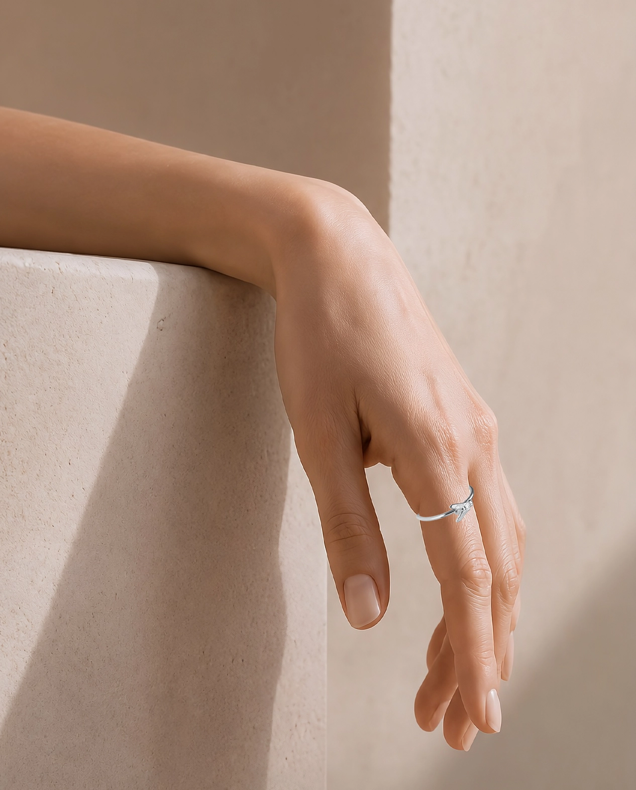Anillos