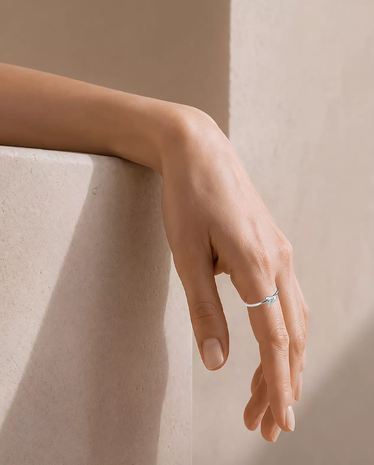 Anillos